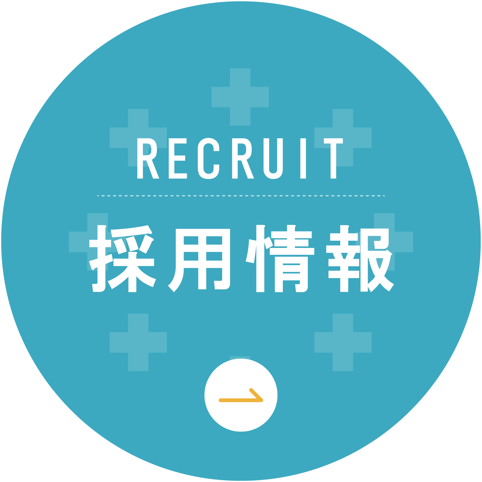 採用情報ページはこちらから